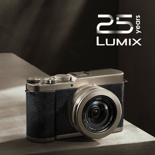 Lumix L10