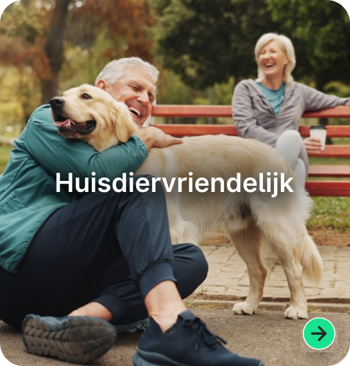 Pet Friendly